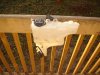 DSC01156.jpg