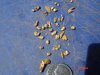 DSC04641.JPG