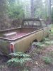 fff 1107.jpg