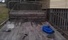 IMAG0181.jpg