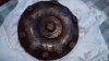 torque converter.jpg