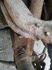 20160425_124919.jpg