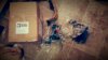 20160831_152255.jpeg