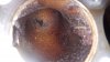 20170702_190827.jpg