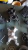 20170627_193058.jpg