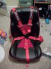 5 pt harness.jpg
