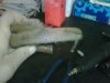 IMG00054-20100426-1502.jpg