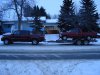 Tundra, Zoo, Tank, Fu Manchu 006.jpg