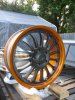 DSC04350.jpg
