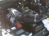 IMG00595-20100530-1619.jpg