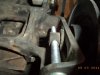 DSC08163.JPG