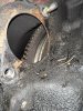 IMG_9402.JPEG