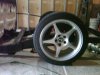 2010-10-22 13.04.45.jpg