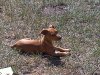 20101021121848.jpg