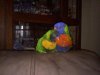 20100926162152.jpg