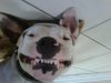 IMG00183-20100905-1451.jpg