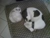 IMG00196-20101017-1343.jpg