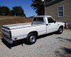 yota pic 2.jpg