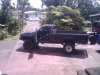 2010-03-21 11.06.50.jpg