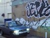 DSC03906.jpg
