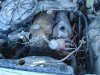 DSC03947.jpg