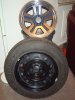 DSC04005.jpg
