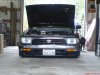 DSC01403.jpg