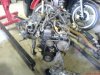 DSC01416.jpg