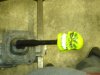 DSC01552.jpg