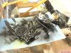 DSC01576.jpg