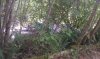 IMAG0115.jpg