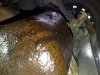 march oil leak 2.jpg
