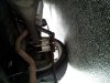 20120502_074952.jpg