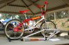 DSC_0239.jpg
