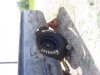 20130709_115528.jpg