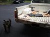 IMG_20130805_155609.jpg