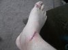 GRINDERLEG7.jpg