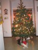 Picture or Video 028.jpg