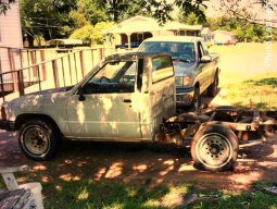 84carolinayota