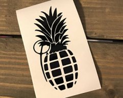 hawaiiysr