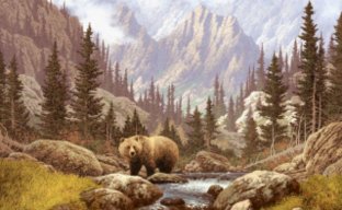 jon cusic