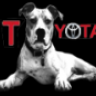 YOguyDA