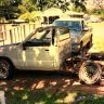 84carolinayota