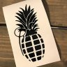 hawaiiysr