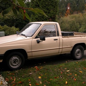 1984 bottom of the line
