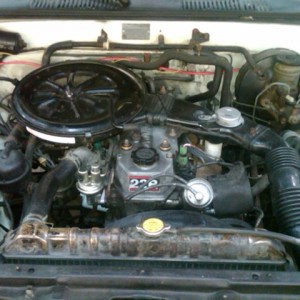 22r stock
