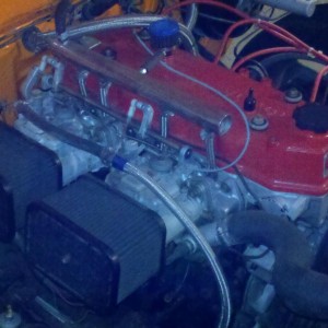 taco8