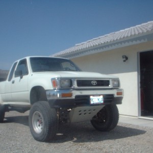 mojaverockhopper