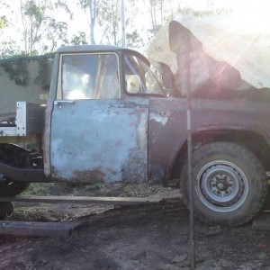 needs paint in queensland australia