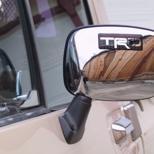 OEM mirrors